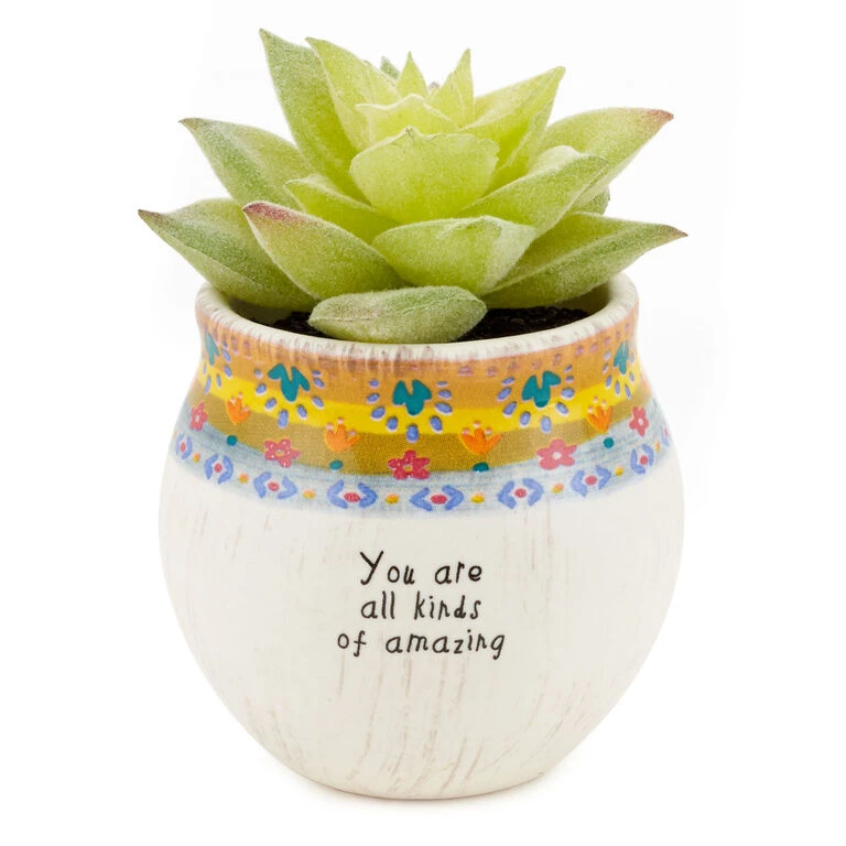 Natural Life Faux Succulent All Kinds Of Amazing Mini Planter, 2" 1 Natural Life Faux Succulent All Kinds Of Amazing Mini Planter, 2"