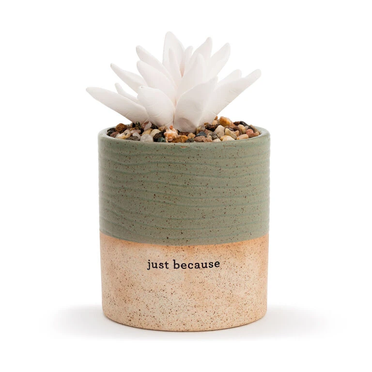 Demdaco Just Because Succulent Oil Diffuser 1 Demdaco Just Because Succulent Oil Diffuser
