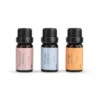 Demdaco Well-Being Essential Oil Trio