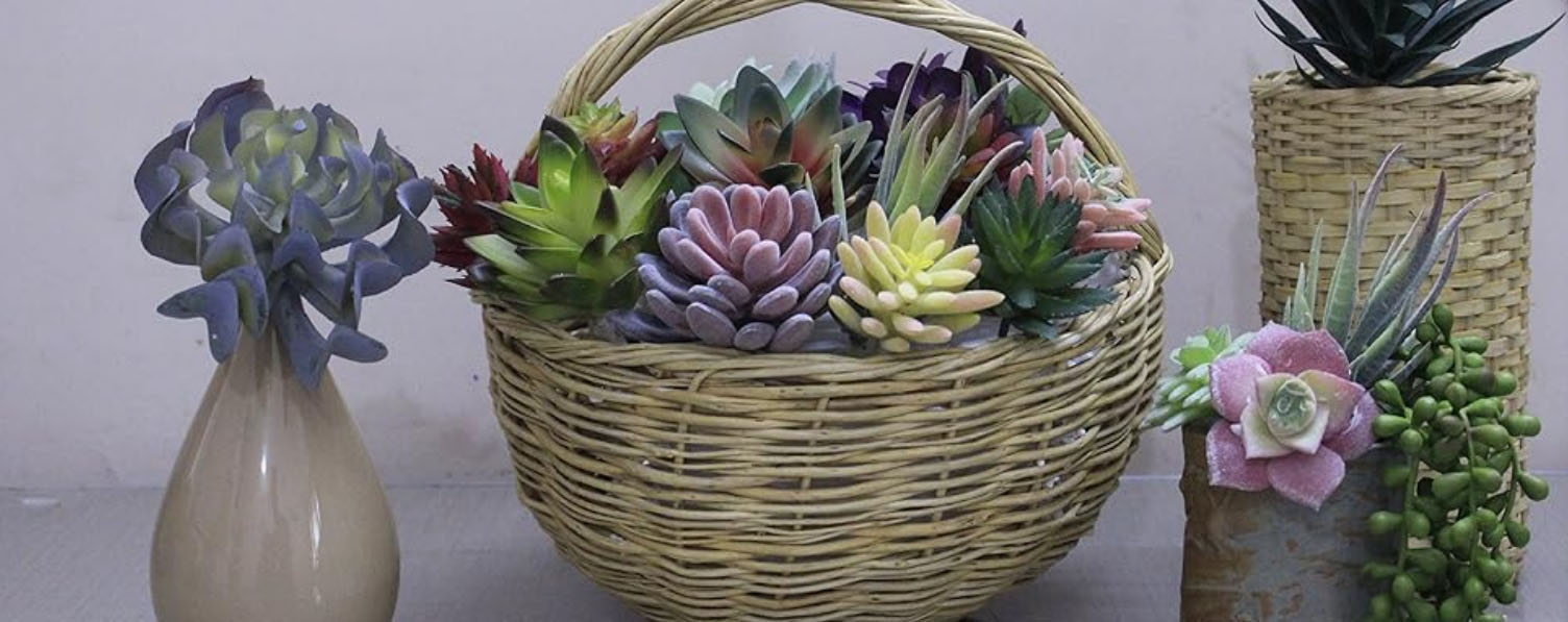 Hallmark -Hallmark ASDDS